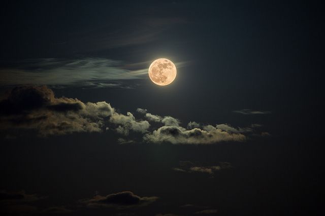 Bulan Malam
