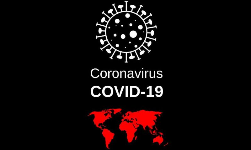 KILAS BALIK 1 TAHUN VIRUS COVID-19 DI INDONESIA