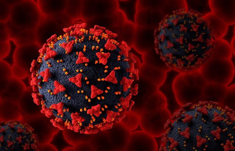 Munculnya Subvarian Omicron Siluman Dapat Berpotensi Melonjaknya Kasus Covid-19