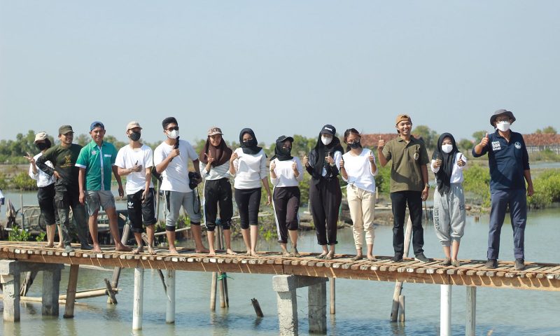 Udinus Ajak Mahasiswa Baru untuk Konservasi Mangrove dalam Kegiatan Dinus Inside