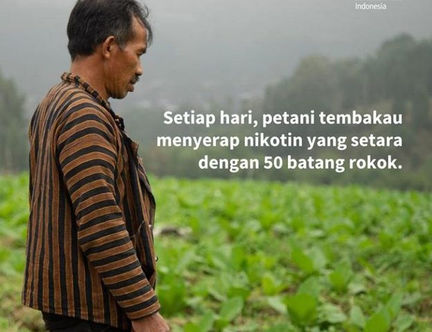 WHO: Akar Penyebab Penderitaan dan Sakitnya Dunia