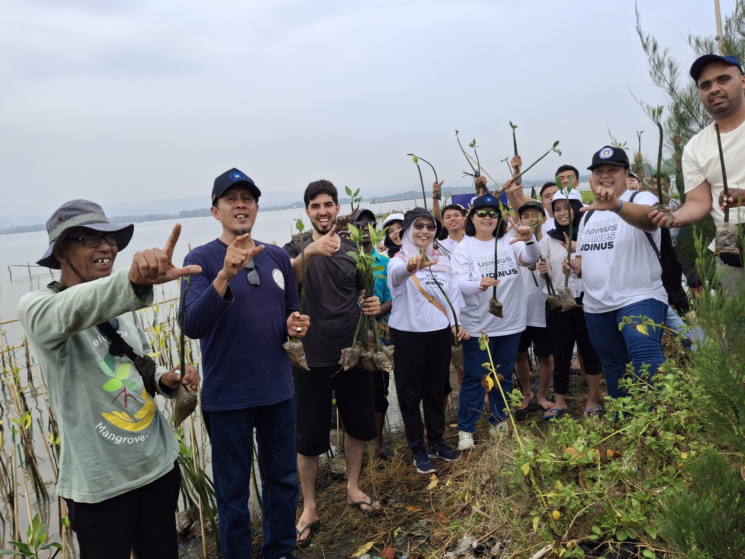 Wujudkan Gerakan Peduli Lingkungan, Udinus Lakukan Penanaman Mangrove di Mangunharjo