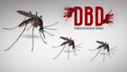 Air Bersih yang Ternyata Bisa Memicu Terjadinya Tempat Bersarang Nyamuk yang Menyebabkan DBD